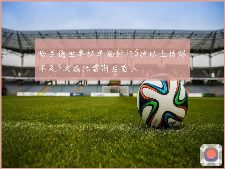 哈兰德世界杯单场射门5次以上传球不足5次成托雷斯后首人